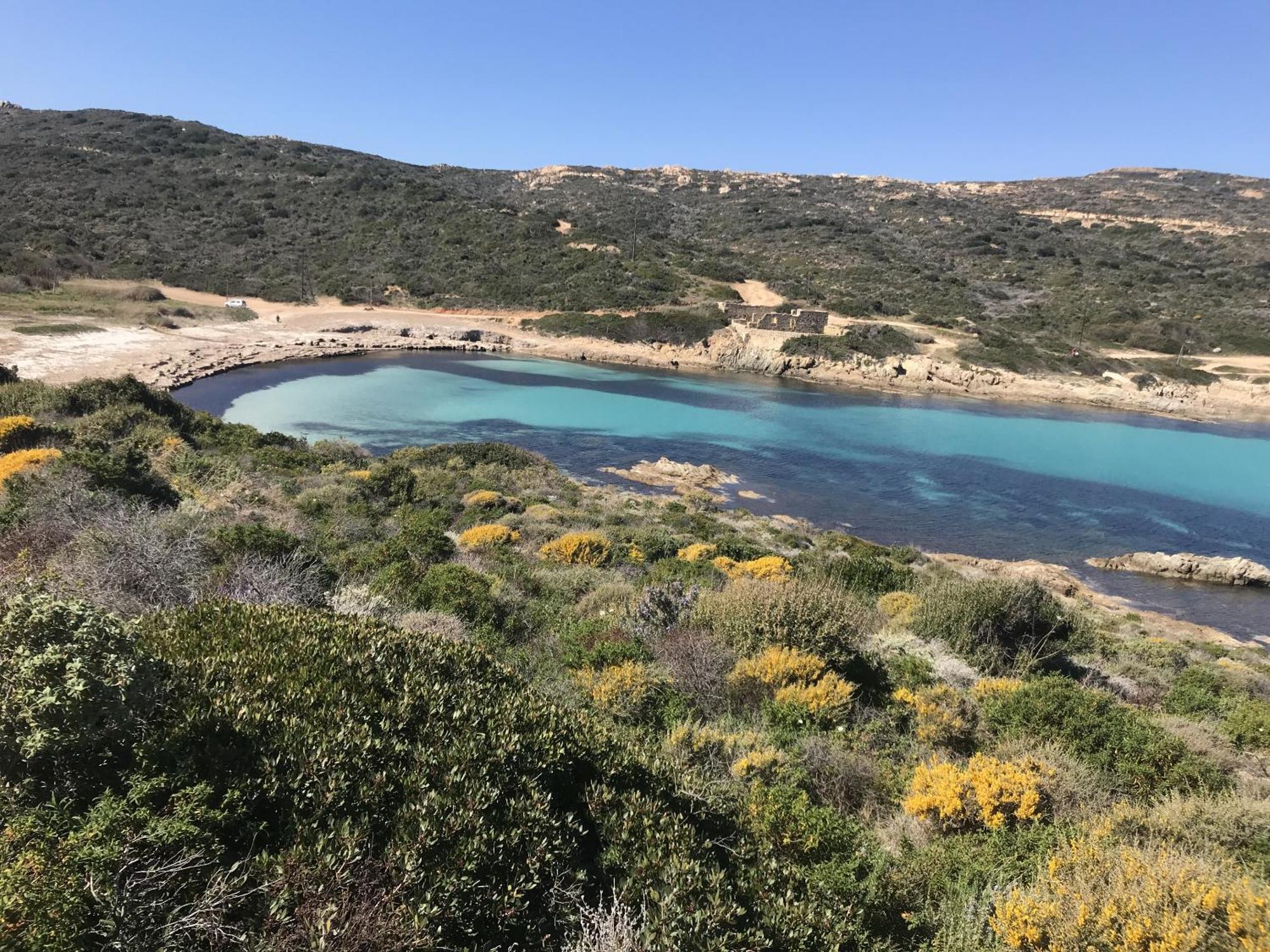 Résidence Villa Branda Calvi  Exterior foto